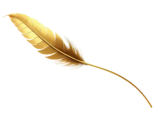 feather,bird feather,feather jewelry,hawk feather,prince of wales feathers,swan feather,chicken feather,feather pen,golden leaf,quill,feather headdress,bird wing,laurel wreath,spikelets,feathers bird,feather bristle grass,palm leaf,beak feathers,gold spangle,gold ribbon,Illustration,Retro,Retro 05