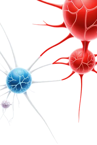 Pathophysiology illustration, medical concept, colorful diagram, bold lines, 3D elements, brain, neurons, synapses, red blood cells, white blood cells, platelets, circulatory system, arteries, veins, 