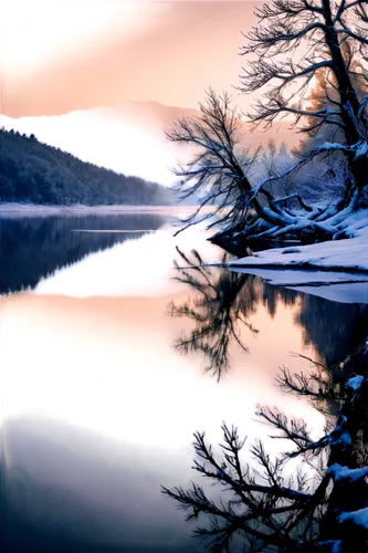 winter lake,tarn,evening lake,loch drunkie,loch,alpine lake,twilight on jenny lake,mountainlake,frozen lake,winter landscape,llyn,sognsvann,gunatillake,lake,mountain lake,lochan,photo painting,thirlmere,eilean,forest lake,Illustration,Black and White,Black and White 15