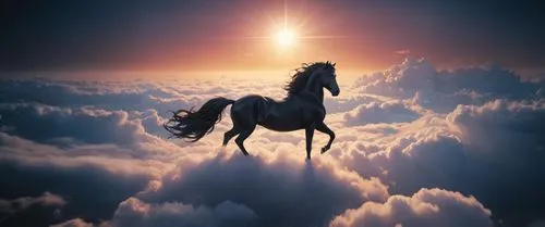 unicorn background,fantasy picture,dream horse,pegasus,beautiful horses,equine,arabian horse,white horses,a white horse,white horse,above the clouds,heavenly ladder,sunburst background,celestial pheno