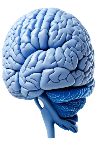 brain icon,cerebrum,brain structure,human brain,brain,cognitive psychology,magnetic resonance imaging,neurath,brainy,neurology,bicycle helmet,acetylcholine,isolated product image,neural network,self hypnosis,medical imaging,mindmap,emotional intelligence,hippocampus,mind-body,Art,Classical Oil Painting,Classical Oil Painting 19