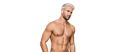 male poses for drawing,png transparent,desnuda,transparent image,chaderton,polykleitos,ankvab,pelado,depetro,digital art,tuditanus,torso,drawing mannequin,digital painting,3d figure,torsos,derivable,gynecomastia,nudelman,digital artwork,Illustration,Realistic Fantasy,Realistic Fantasy 10