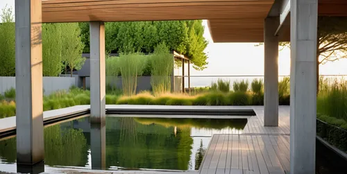 landscape design sydney,landscape designers sydney,wooden decking,garden design sydney,3d rendering,decking,bamboo plants,grass roof,corten steel,sliding door,render,bamboo curtain,pond plants,summer house,wood deck,mirror house,artificial grass,garden pond,japanese architecture,zen garden,Photography,General,Realistic