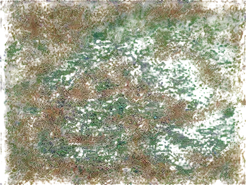 sphagnum,moss landscape,poa,forest moss,generated,seamless texture,bryophyte,dew on grass,azolla,block of grass,lichen,tree moss,golf course grass,degenerative,garden dew,grono,grasslike,grass,topographer,green bubbles,Unique,Pixel,Pixel 02