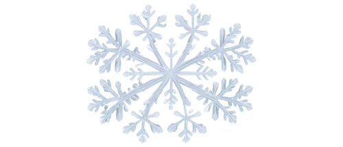 snowflake background,christmas snowflake banner,blue snowflake,snow flake,white snowflake,wreath vector,snowflake,gold foil snowflake,summer snowflake,ice crystal,christmas pattern,christmas tree pattern,snowflakes,snowdrop,christmas snowy background,the snow queen,christmas motif,snowflake cookies,winter background,flannel flower,Photography,Black and white photography,Black and White Photography 12