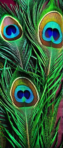 neon body painting,peacock eye,indigenous painting,peacock,aboriginal painting,peacock feathers,tribal masks,peacock butterflies,psychedelic art,nimphaea,african masks,pachamama,aboriginal art,aboriginal artwork,theyyam,fairy peacock,bodypainting,blue passion flower butterflies,chameleon abstract,heads of royal palms,Art,Classical Oil Painting,Classical Oil Painting 41