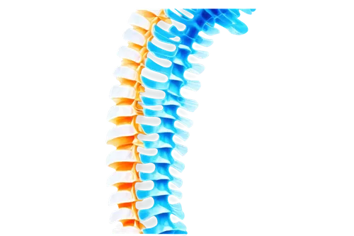 spinal,spine,intervertebral,spondylitis,connective back,corticospinal,spines,cervical spine,syringomyelia,vertebral,scoliosis,chiropractic,lumbar,kyphosis,osteoporotic,spineflower,myelopathy,spinesi,fishtailing,back pain,Conceptual Art,Oil color,Oil Color 10