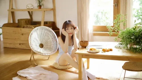 electric fan,mechanical fan,decorative fan,korean fan dance,fan,hand fan,ventilation fan,air purifier,japanese fans,staying indoors,japanese doll,air conditioner,color fan,realdoll,dollfie,ceiling-fan