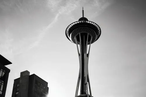 sky tower,space needle,sydney tower,the needle,skycity,centrepoint tower,stratosphere,eurotower,tv tower,needle,television tower,seattle,international towers,torre,lumpur,towering,komtar,supertall,seattleite,auckland,Photography,Black and white photography,Black and White Photography 08