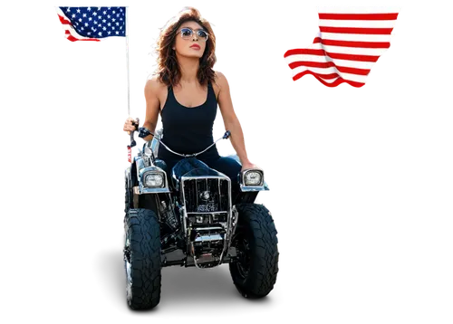 motorcyclist,patriotically,biker,motorcycle,motorcycling,evel,baggers,harley davidson,motorcyle,motorcycle tour,harleys,americanism,american,motorcycle tours,ameri,black motorcycle,softail,motorcycles,american car,motorbike,Illustration,Japanese style,Japanese Style 15