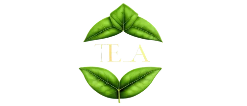 leaf background,laa,aaaa,spring leaf background,lendingtree,aaa,leaf green,leafcutter,green leaf,growth icon,tree leaf,leaf icons,la,green wallpaper,tea leaf,leaflike,tli,lsa,leafed,bigleaf,Illustration,Realistic Fantasy,Realistic Fantasy 29