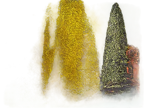 catkins,amaranth,dried flowers,chenille,colored spices,poaceae,dried cassia,sorghum,cupressus,asparagales,terpenes,spruce needles,allocasuarina,arborvitae,xanthorrhoea,inflorescences,trumpet lichen,ornamental corn,equisetum,dried pineapple,Illustration,Retro,Retro 24