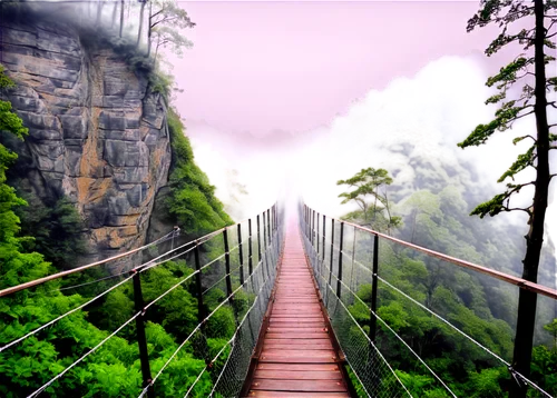 hanging bridge,canopy walkway,suspension bridge,scenic bridge,rope bridge,wooden bridge,inca rope bridge,tree top path,huangshan mountains,hiking path,walkway,humpback bridge,footbridge,extradosed bridge,landscape background,foggy landscape,hangman's bridge,saxon switzerland,the mystical path,stairway to heaven,Illustration,American Style,American Style 02