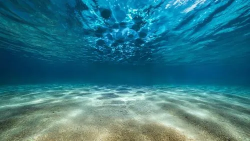 ocean underwater,submerged,seabed,underwater landscape,under water,ocean floor