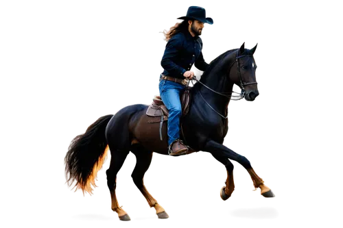 equerry,saddlebred,equestrian,mounted police,dressage,equitation,highwayman,horsewoman,horsemanship,lusitano,friesian,cavalryman,arabian horse,carabantes,horseman,cavalry,derivable,gaited,equestrian sport,andalusians,Conceptual Art,Daily,Daily 01