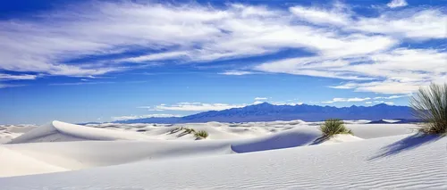 white sands national monument,white sands dunes,desert desert landscape,snow landscape,desert landscape,dune landscape,white sand,great dunes national park,snowy landscape,fragrant snow sea,snow fields,sand dunes,dune grass,snowy mountains,argentina desert,white sandy beach,desert background,crescent dunes,winter landscape,the sand dunes,Illustration,Black and White,Black and White 29