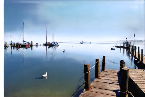 Wharf scenery, wooden dock, calm sea, sunny day, clear blue sky, seagulls flying overhead, sailboats moored, ropes tied to bollards, fishermen unloading cargo, worn wooden planks, rusty iron railings,