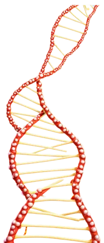 Microscopic, biological translation process, DNA helix, RNA molecule, ribosome, protein synthesis, colorful staining, detailed illustration, 3D rendering, soft focus, warm lighting, shallow depth of f