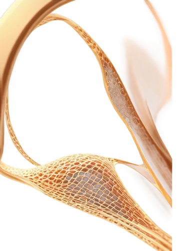 auricle,abstract gold embossed,brachytherapy,stents,curved ribbon,cinema 4d,spermatogenesis,nanotubes,spermatogonia,ercp,roundworms,dna helix,helix,wheat ear,flagellar,ovule,neurulation,stenting,nurbs,nanotube,Illustration,American Style,American Style 03