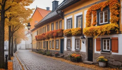 colors of autumn,northern germany,scandinavia,autumn fog,row of houses,autumn background,autumn colors,autumn decoration,scandinavian style,townhouses,sweden,the cobbled streets,half-timbered houses,autumn scenery,old houses,cobblestones,golden autumn,germany,austria,beautiful buildings,Illustration,Vector,Vector 11