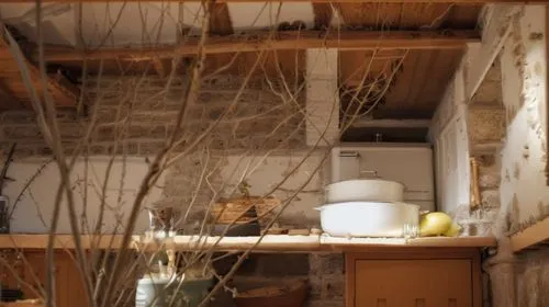 maison historique
,kitchen interior,the kitchen,vintage kitchen,kitchen,pantry,kitchen cabinet,kitchenette,dish storage,shabby-chic,bird nests,food storage,rustic,cupboard,kitchen shop,shabby,attic,ho