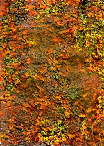 xanthophylls,brakhage,autumn pattern,reddish autumn leaves,lava river,duckweed,autumnal leaves,kngwarreye,water surface,pavement,autumn leaf paper,riverbed,chameleon abstract,autumn leaf,waterbodies,watercolour texture,efflorescence,multispectral,wavelet,azolla,Photography,Fashion Photography,Fashion Photography 07