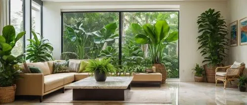 philodendrons,house plants,philodendron,houseplants,bamboo plants,houseplant,exotic plants,bamboo curtain,garden design sydney,green living,tropical greens,contemporary decor,landscape designers sydney,conservatory,palm garden,tropical house,sunroom,royal palms,green plants,modern decor,Conceptual Art,Daily,Daily 08