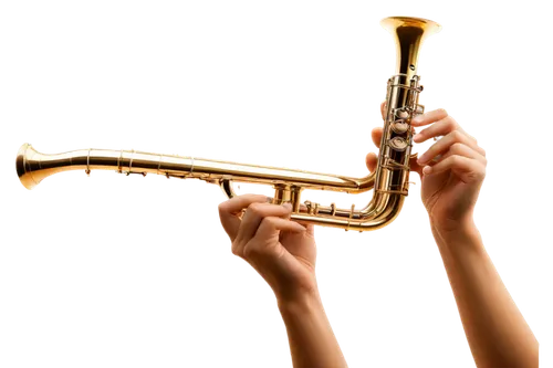 gold trumpet,fanfare horn,flugelhorn,trumpet,instrument trumpet,trumpet shaped,american climbing trumpet,climbing trumpet,trumpet of jericho,drawing trumpet,trumpet gold,brass instrument,saxhorn,embouchure,trumpeting,wind instrument,tuba,instrument,trumpeted,trumpeter,Illustration,Retro,Retro 25