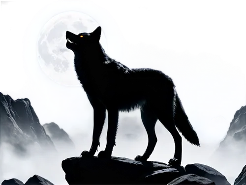 howling wolf,wolf,black shepherd,european wolf,gray wolf,wolfdog,howl,constellation wolf,red wolf,wolves,werewolves,werewolf,canis lupus,wolf hunting,wolfman,wolf bob,saarloos wolfdog,two wolves,schipperke,blood hound,Conceptual Art,Sci-Fi,Sci-Fi 04