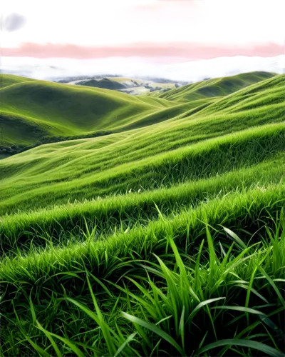 green grass,grassland,grasslands,green fields,grassy,grasslike,palouse,grass,green landscape,gras,virtual landscape,green meadow,grass grasses,landscape background,rolling hills,ricefield,tea field,3d background,long grass,grassfields,Conceptual Art,Fantasy,Fantasy 34