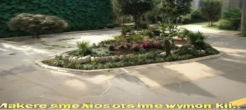 rank plant,sake gardens,nymphaeaceae,monastery garden,garden of plants,mother of millions,real thyme,gardening,fabaceae,mod ornaments,grave arrangement,plant bed,secret garden of venus,horticulture,poisonous plant,ornamental shrubs,flower bed,exotic plants,fake flowers,ornamental plant