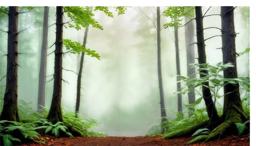 forest background,cartoon video game background,green forest,nature background,forest landscape,aaaa,background vector,endor,coniferous forest,elven forest,forested,landscape background,forest,forests,forestland,forest path,mirkwood,green wallpaper,fir forest,foggy forest,Conceptual Art,Daily,Daily 32