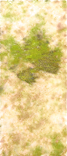 duckweed,xanthophylls,dew on grass,autumn pattern,chameleon abstract,azolla,moss landscape,bear footprint,everglades alligators,swampy landscape,saltmarsh,birds abstract,pavement,ripple marks,leaves frame,forest moss,meadows of dew,marshland,groundcolour,golf course grass,Illustration,Realistic Fantasy,Realistic Fantasy 36