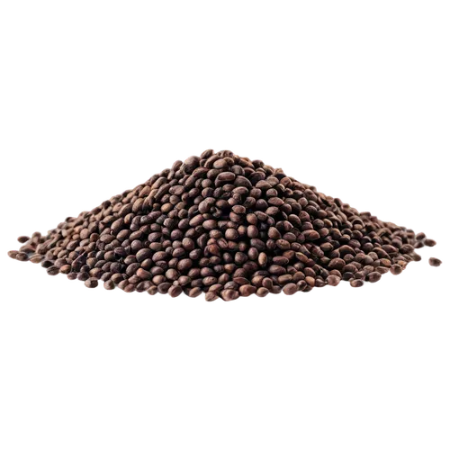 coffee beans,java beans,roasted coffee beans,vermiculite,urad,sorghum,beanballs,cocoa beans,cocoa powder,kacang,mucuna,soybean,dried cloves,javabeans,soyabean,buckwheat,coffee seeds,robusta,allspice,legumes,Art,Classical Oil Painting,Classical Oil Painting 20