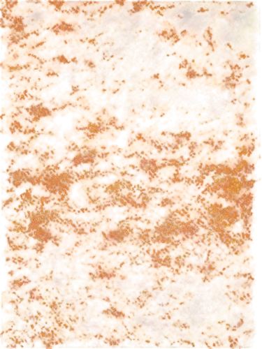 seamless texture,pool water surface,lava river,biofilm,calendula soap,sea buckthorn,kngwarreye,granite texture,peppered orange,pomace,false saffron,water surface,carotene,acridine orange,artemia,sargassum,terrazzo,coagulate,meditrust,background abstract,Conceptual Art,Fantasy,Fantasy 19