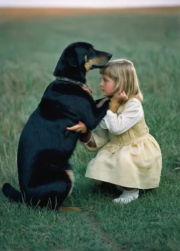 Tippi's photographer parents ensured she was safe at all times, and many of the animals were used to human interaction,girl with dog,boy and dog,tenderness,beauceron,black and tan coonhound,the dog a 