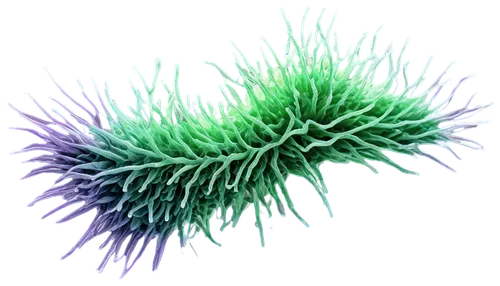 Microscopic, gg4 strain, bacteria, purple and green biofilm, intricate structure, translucent membrane, flagella, 3D composition, high contrast lighting, shallow depth of field, cinematic rendering.,a