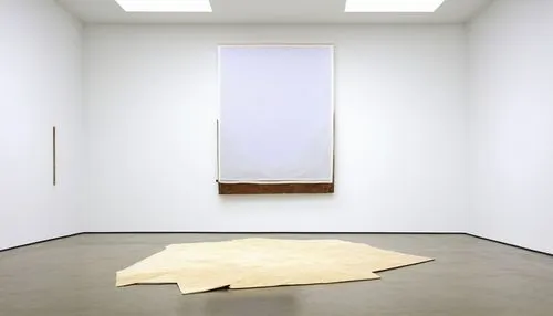 white room,zwirner,whitespace,gutai,benglis,rubell,cortright,cleanrooms,white space,empty room,pistoletto,conceptualism,chipperfield,durational,rauschenberg,empty interior,heizer,beuys,christo,gagosian,Conceptual Art,Daily,Daily 18