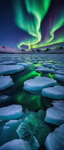 northen lights,polar lights,norther lights,northern lights,northern light,auroras,the northern lights,polar aurora,green aurora,nothern lights,greenland,arctic ocean,northernlight,arctic antarctica,aurora polar,iceland,arctic,aurora borealis,northen light,sea ice,Illustration,Retro,Retro 24