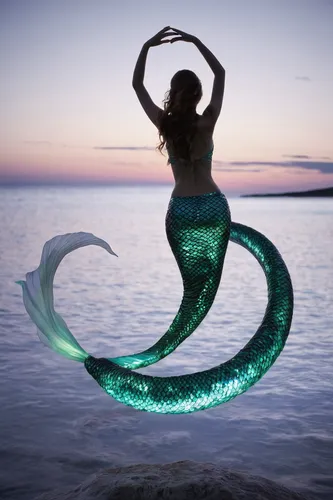 mermaid silhouette,mermaid tail,let's be mermaids,believe in mermaids,mermaid background,mermaid,mermaid vectors,mermaids,green mermaid scale,merman,mermaid scale,merfolk,lightpainting,mermaid scales background,light painting,little mermaid,the zodiac sign pisces,siren,neon body painting,pisces,Photography,Documentary Photography,Documentary Photography 04