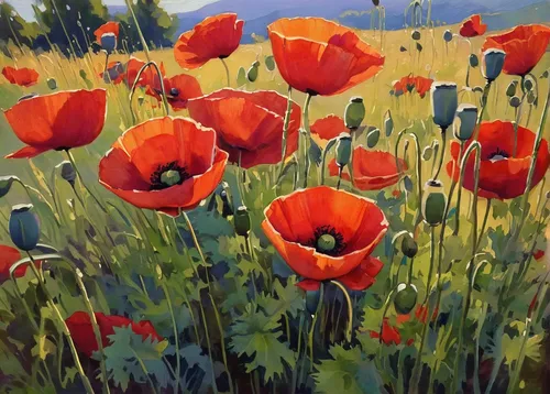 """Poppies a'Plenty"" original fine art by Erin Dertner",red poppies,poppies,poppy flowers,poppy field,poppy fields,corn poppies,field of poppies,poppies in the field drain,a couple of poppy flowers,r