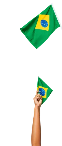 samba,brasileira,brazil brl,brasil,brazilianwoman,brazil empire,brazilian,vuvuzela,sobrassada,brazil,hd flag,race flag,boa,futebol de salão,rio,banderole,dombra,brazil nuts,brazilian monarchy,flag,Illustration,Realistic Fantasy,Realistic Fantasy 25