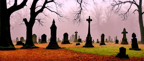 graveyards,forest cemetery,old graveyard,cemetary,halloween bare trees,graveyard,halloween background,magnolia cemetery,cemetery,old cemetery,hollywood cemetery,cemetry,tombstones,gravestones,burial ground,autumn fog,vienna's central cemetery,grave stones,dead leaves,churchyards,Photography,Black and white photography,Black and White Photography 03