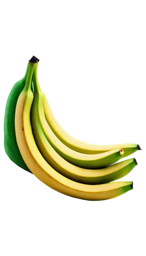 banane,banan,banana,banani,monkey banana,nanas,plantain,banana plant,bananarama,dolphin bananas,potassium,banana tree,banana apple,platanos,repnin,anco,bananafish,ripe bananas,chiquita,pisang,Art,Artistic Painting,Artistic Painting 04