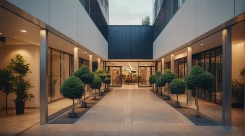 Entrance of a residential building, retail shopfront arcade on ground floor, small bushes, people walking,landscape design sydney,landscape designers sydney,garden design sydney,hallway space,courtyar