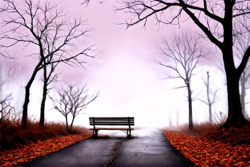 park bench,bench,wooden bench,benches,red bench,man on a bench,bench by the sea,solitude,loneliness,stone bench,bench chair,landscape background,garden bench,wood bench,picnic table,quietude,autumn background,benched,sit and wait,emptiness,Illustration,Black and White,Black and White 21