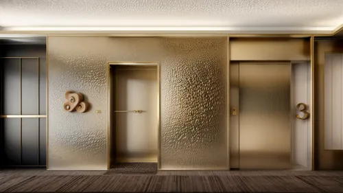 metallic door,hinged doors,3d rendering,room divider,walk-in closet,render,search interior solutions,elevators,3d render,interior decoration,3d rendered,interior modern design,hallway space,gold wall,sliding door,contemporary decor,recessed,armoire,doors,abstract gold embossed