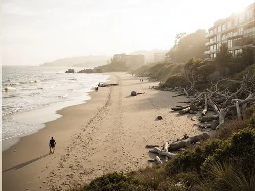 laguna beach,seacliff,pacific coastline,carmel by the sea,monterey,beach landscape,beachfront,lacewell,scripps,oceanfront,esalen,la jolla,fresnaye,spyglass,beach scenery,shorefront,capitola,aptos,montara,santacruz