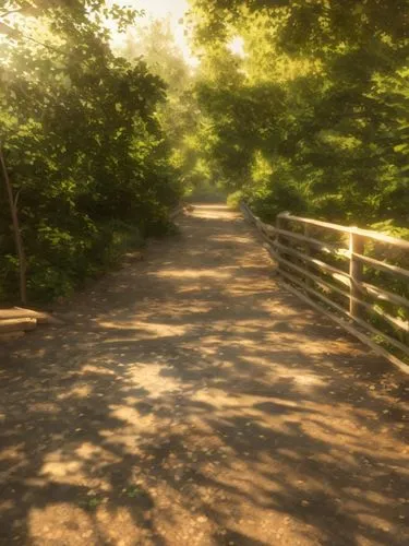 railroad trail,pathway,wooden bridge,bike path,wooden path,wooden track,nature trail,walkway,bicycle path,path,trail,hiking path,forest path,the path,vanishing point,tree lined path,appalachian trail,