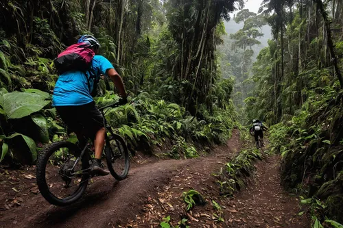 Singletrack and Beers in Guatemala,singletrack,mountain biking,adventure racing,mountain bike racing,downhill mountain biking,mountain bike,freeride,cross-country cycling,trail,downhill,reunion island